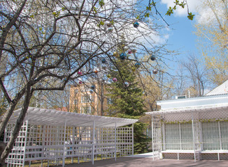 Obraz premium drzewo w parku