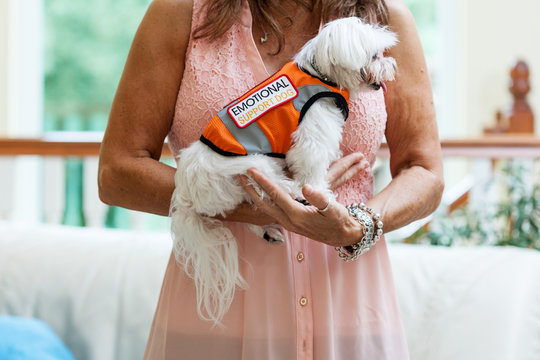 Woman Holding Emotional Support Dog