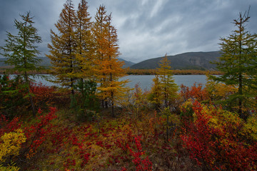 Russia. Magadan. The amazing beauty of the autumn of the Far East. The lake Maxi