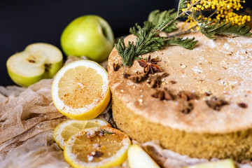 Biscuit apple pie with cinnamon, citron, oriental spices and sugar powder on dark background