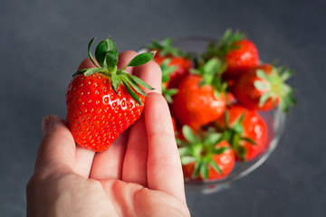 female hand holding fresh tasty strawberries on the background of a bowl with strawberries on a dark gray background