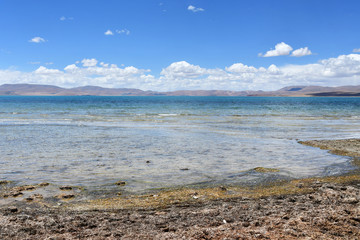 Tibet, Gomang lake in the summer
