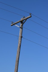 Power Lines