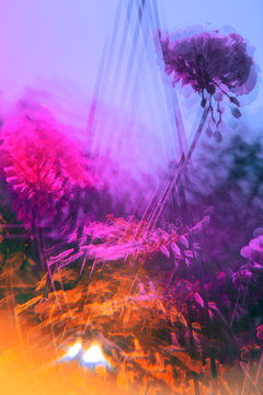Prismatic garden