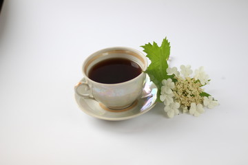 cup of coffee with a blooming sprig of viburnum