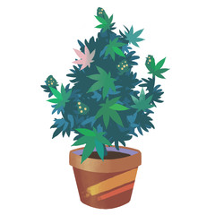 Cute colourful marijuana bush in a primitivism style or a style of children’s book illustrations