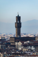 View of palazzo Vecchio tower from a distance