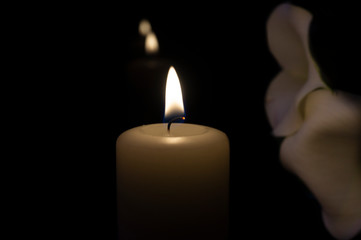 Close up of orange candle flame and lily flowers