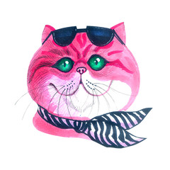 Portrait of a pink Persian cat with dark glasses