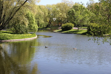 lake, nature, park