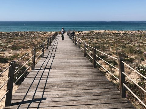Walk the Plank