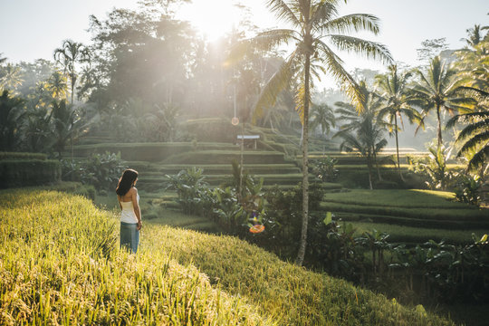 beautiful woman overlooking rice fields at sunrise