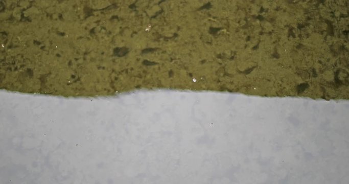 4k footage of a slow flowing river with reflections on the water surface