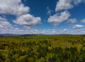 Fototapeta na wymiar Pocono Mountains Pennsylvania landscape with green meadow and forest