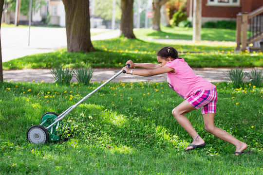 Young girl in pink pushing a push lawn mover with the use of some effort as she mows the lawn.