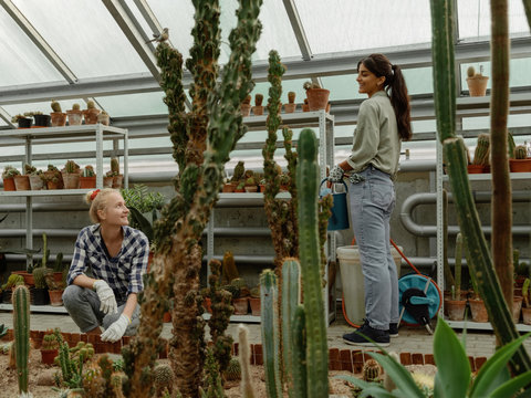 Women coworking in greenhouse