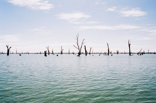 Murray River