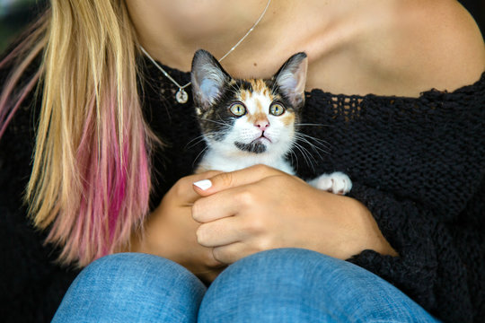 Teenage girl holding a calico kitten