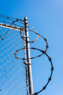 barbed wire