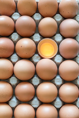 eggs placed in a egg carton
