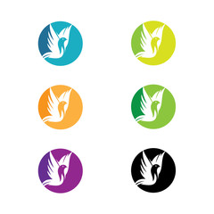 creative logo bird vector collection