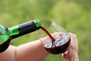 Woman pours red wine from the bottle into the glass on green nature background. Concept of wine...