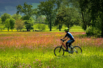 mujer paseando con una bicicleta de montaña en una campo de flores en primavera 
