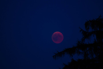 lunar eclipse