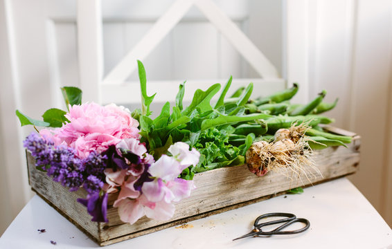 Flowers and vegetables from the garden