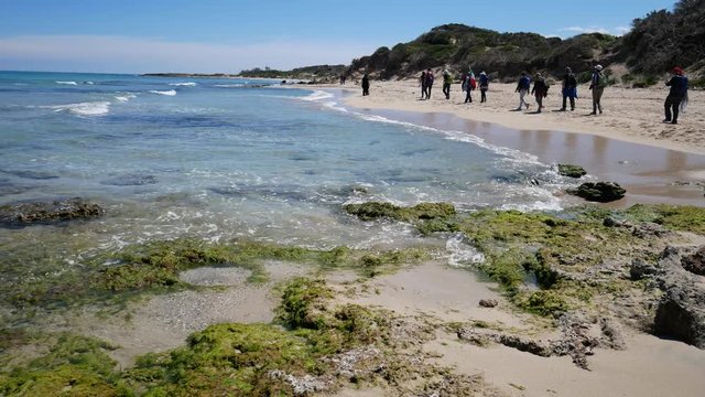 Hikers on the Beach with outcropping rocks of the Protected Marine Area of Torre Guaceto. Coastal and marine nature reserve with a defensive tower of the 16th century. Brindisi, Puglia (Apulia), Italy