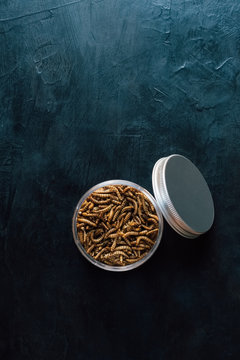 Overhead view of mealworms in container