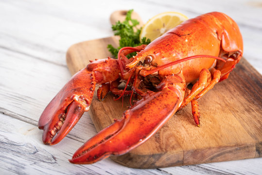 whole boiled lobster image