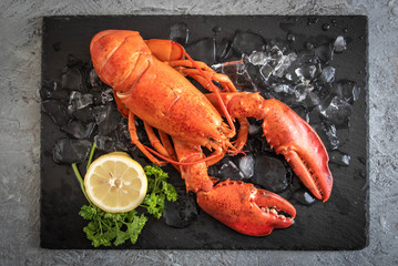 whole boiled lobster image
