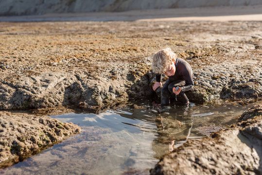 Boy holding seashell near rock pool