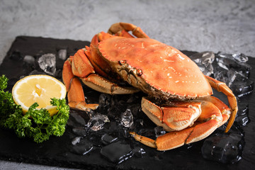 boiled dungeness crab image © ahirao