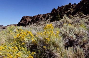 Bridgeport California in the Eastern Sierra Nevada Mountains in Stanislaus National Forest
