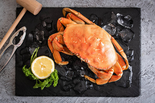 boiled dungeness crab image