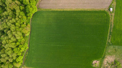 River and fields top view. Photographed from the drone. Beautiful view of the agropolis. Spring. Green fields