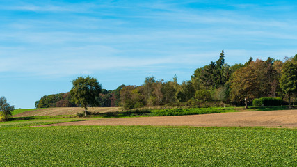 farmland landscape in Europe