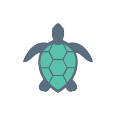 Obraz premium illustration of sea turtle