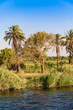 Life on the River Nile in Egypt © EwaStudio