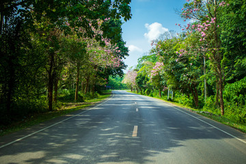 Nature and beautiful road to Ao nang Krabi in Thailand