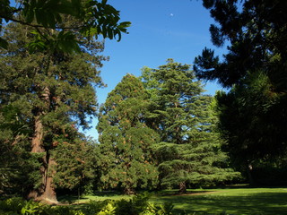 Jardin Massey Tarbes Haute Pyrénées