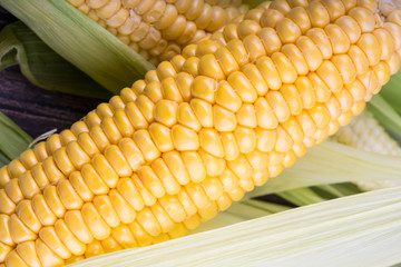 fresh and ripe corn cobs
