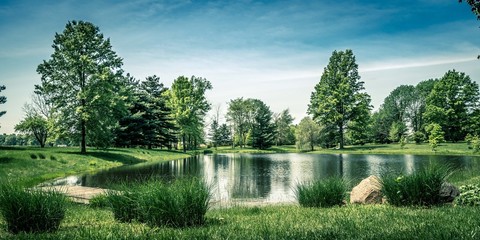 A lake reflecting trees in the background on a summer day in Indiana, USA