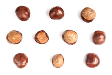 chestnuts or aesculus hippocastanum or conker tree nuts isolated on white background