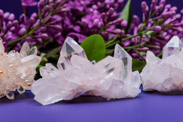 Himalayan Clear Quartz Clusters with Hematite inclusions surrounded by purple lilac flowers.