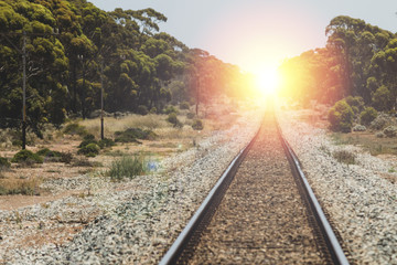 Fototapeta premium Vintage train tracks. Journey any direction.
