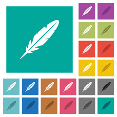 Single feather square flat multi colored icons