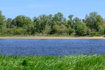 green meadow blue river and green trees